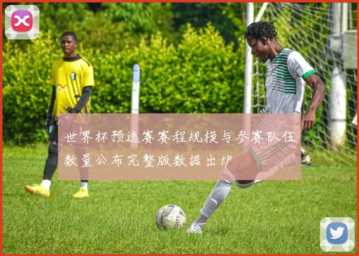 世界杯预选赛赛程规模与参赛队伍数量公布完整版数据出炉