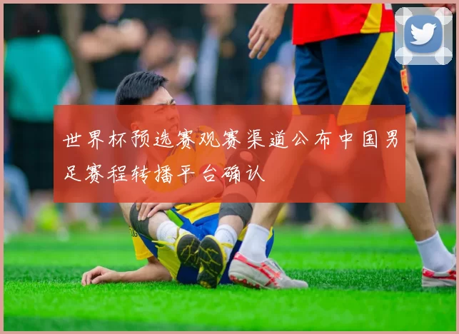 世界杯预选赛观赛渠道公布中国男足赛程转播平台确认