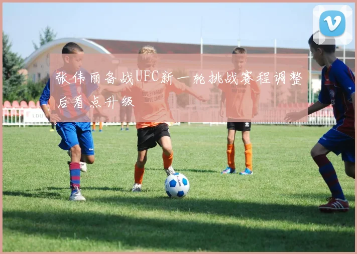 张伟丽备战UFC新一轮挑战赛程调整后看点升级