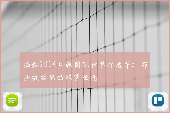 揭秘2014年韩国队世界杯名单：那些被铭记的绿茵面孔