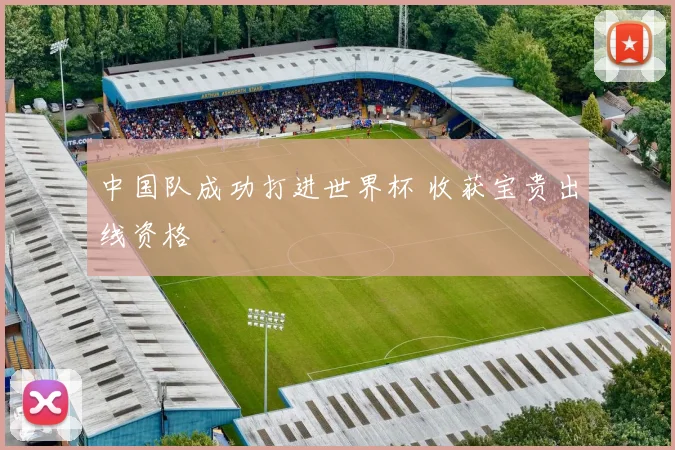 中国队成功打进世界杯 收获宝贵出线资格