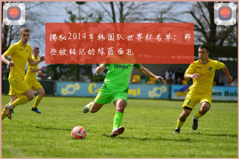 揭秘2014年韩国队世界杯名单：那些被铭记的绿茵面孔