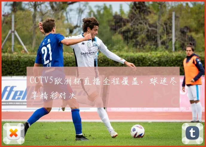 CCTV5欧洲杯直播全程覆盖，球迷尽享精彩对决